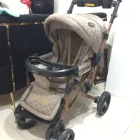 کالسکه دلیجان بدنه بنیتا طرح چیچک.