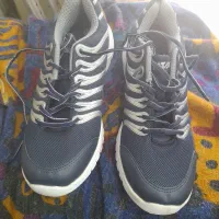 کفش اسپرت شماره ۴۰نونو