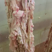 روده چاق گوسفندی|خوردنی و آشامیدنی|تهران, ترمینال جنوب|دیوار