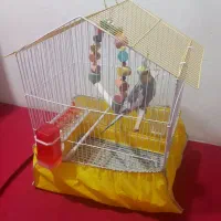 عروس هلندی باقفس وکالسکه