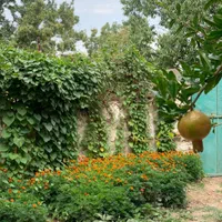 اجاره روزانه خانه باغ قلات بافت قدیم|اجارهٔ کوتاه‌مدت ویلا و باغ|شیراز, قلات|دیوار