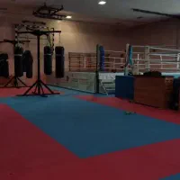 اموزش کیک بوکسینگ به صورت خصوصی،عمومی