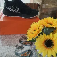 کفش والیبال