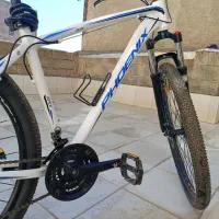 دوچرخه 29 فونیکس|دوچرخه، اسکیت، اسکوتر|سنندج, |دیوار