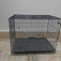 قفس