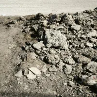 کود گوسفندی|خدمات باغبانی و درختکاری|اصفهان, خاتونآباد|دیوار