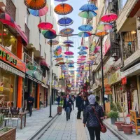 تور ویژه وان