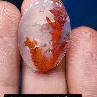 شجر درختی بی نظیر|جواهرات|سرایان, |دیوار