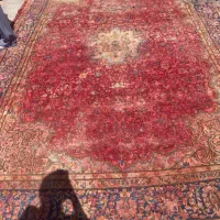 فرش دستباف بید زده رایگان