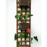 استندهای چوبی آپارتمانی|کتابخانه، شلف، قفسههای دیواری|رشت, کوی مهر|دیوار