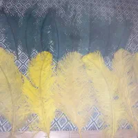 در حد نو