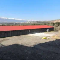 نیازمند کارگر مرغداری