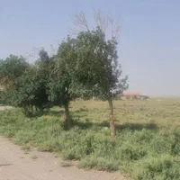 با شرایط فوق العاد صاحب زمین سند۶ دانگ شوید|فروش زمین و ملک کلنگی|جعفرآباد, |دیوار