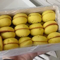 جعبه چین نان برنجی