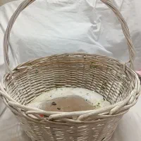 سبد حصیری بزرگ