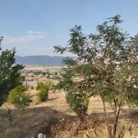 باغشهری آب و برق دار سیاخ دارنگون باغ شهری|فروش زمین و ملک کلنگی|شیراز, عفیف‌آباد|دیوار