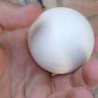 سنگ اسیاب اصل بزرگ