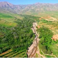 فروش-و-معاوضه-باغ-در-ابدال-آباد-جام