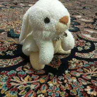 عروسک|اسباب‌بازی بچه|شیراز, فرگاز|دیوار