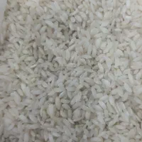 برنج عنبر بو کارزان