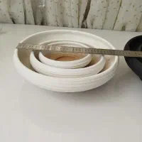 گل،گلدان بُنسای