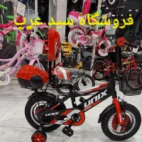 دوچرخه 12 سبدار یونیکس