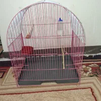 قفس پرنده