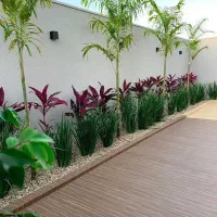 درخت کاری باغبانی گل گیاه تهران تخصص در گیاهان|خدمات باغبانی و درختکاری|تهران, بلوار کشاورز|دیوار