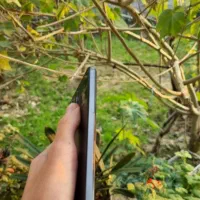 Poco x5pro زیر قیمت بازار ۲ ماه کارکرد|موبایل|رشت, گلباغ نماز|دیوار