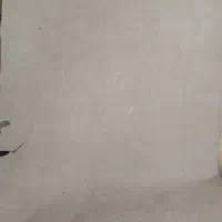 موکت
