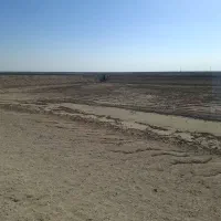 مزرعه میگو|فروش دفتر صنعتی، کشاورزی، تجاری|آبادان, |دیوار