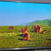 ال ای دی۴۲اینج الجی مدلLF5600بدونه موخط