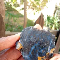 سنگ شجر درختی تک