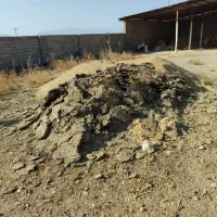 کود حیوانی(گوسفند)