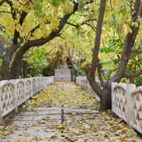 باغ ویلا و باغچه در ماهدشت|فروش خانه و ویلا|ماهدشت, |دیوار