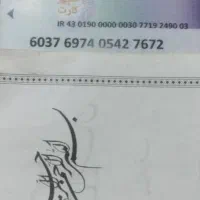 پیدا شده