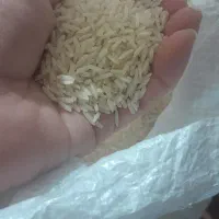 برنج طارم شیروان درجه یک|خوردنی و آشامیدنی|ایلام, |دیوار