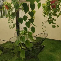 اجاره اتاق ،میز ناخن ،تخت ،صندلی ارایشی