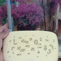 مودم TPILINK تی پی لینک