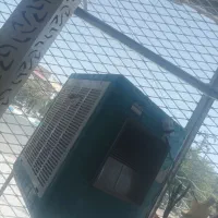 کولر لادیز سالم