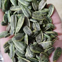 فروش تخمه|عمده‌فروشی|قروه, |دیوار