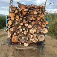 چوب گردو .سیبدار.چنار.درخت میوه.چوب سقفی و