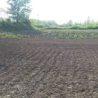 ۵۸۰متر زمین واقع در رشت روستای توریستی نوخاله|فروش زمین و ملک کلنگی|تولم شهر, |دیوار