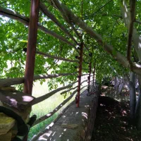 راهنمای جهت زمین