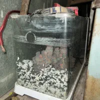 اکواریوم