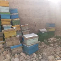 زنبور صندوق بدنه قاب برای فروش زیر قیمت بازار