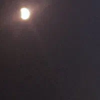 استخدام سرایدار جهت باغ ویلای اجاره ای