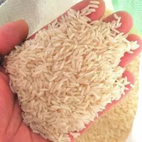 برنج تازه امسال به شرط پخت