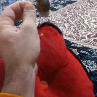 سهره قناری شاه تخم دستی و دهن لر.