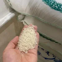 برنج ءبرنج هاشمی وسرگل|خوردنی و آشامیدنی|قم, آزادگان|دیوار